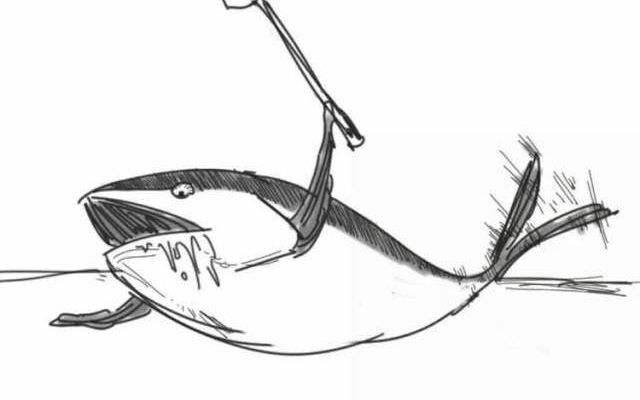 aps审核二审如何做到咸鱼大翻身