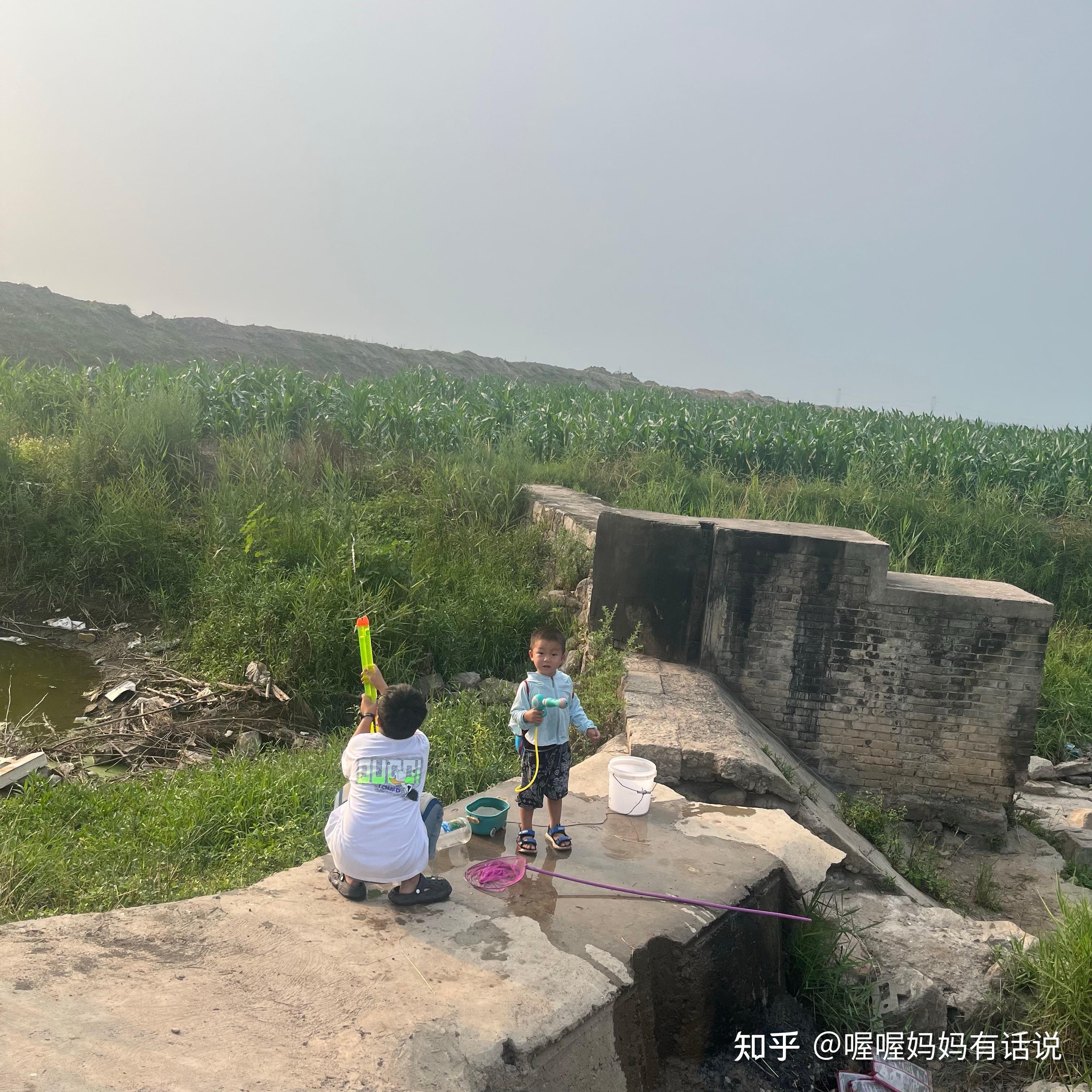 包含女子辅导作业时崩溃，怒扇孩子数十个耳光，不停尖叫踹翻风扇，如何看待此事？给孩子辅导作业是种怎样的体验？的词条