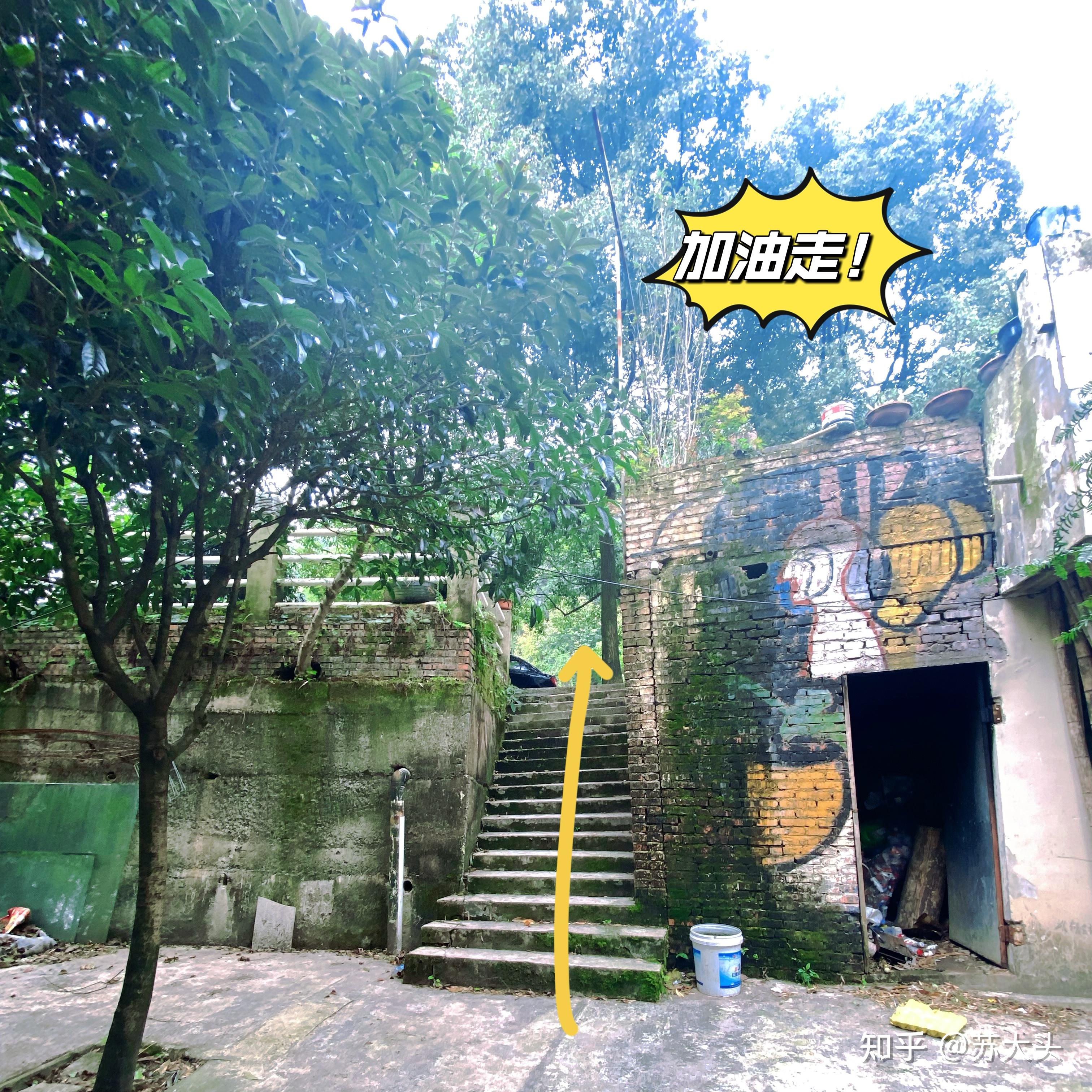 重庆徒步爬山圣地：缙云山免门票上山详细路线指引 - 知乎