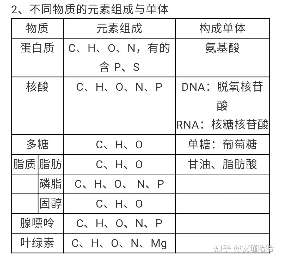 什么是生物大分子,高中涉及的生物大分子有哪些? - 知乎