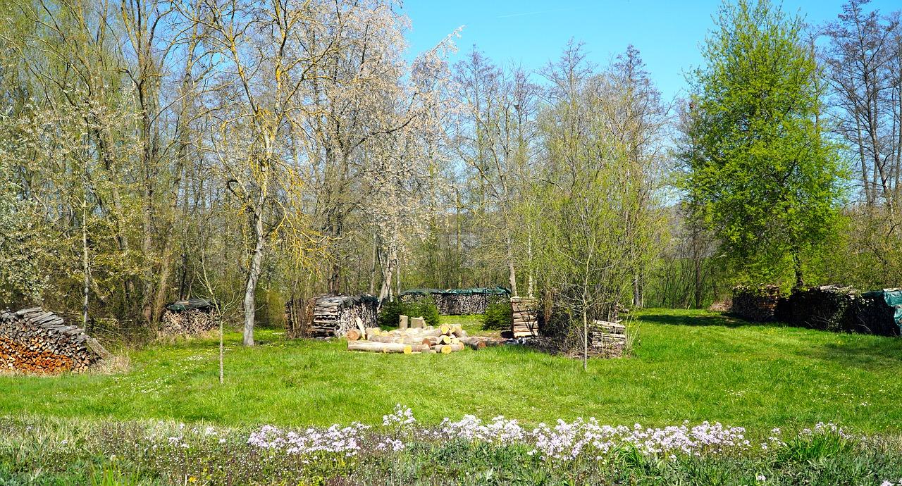 4. 花期长植物选