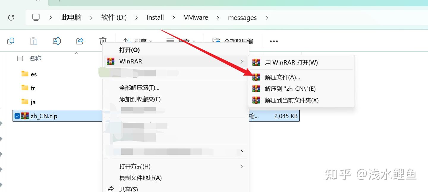 图片[6]-VMWare WorkStation 25H2 Pro 中文包-智鑫小铺