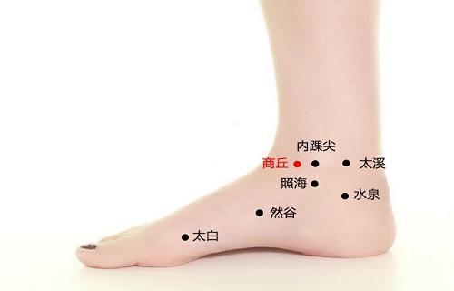穴位大全、经络动图、400多个穴位，请收好！ - 知乎