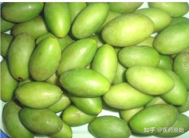 青果 - 知乎