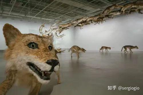 蔡国强到底是个怎么样的人