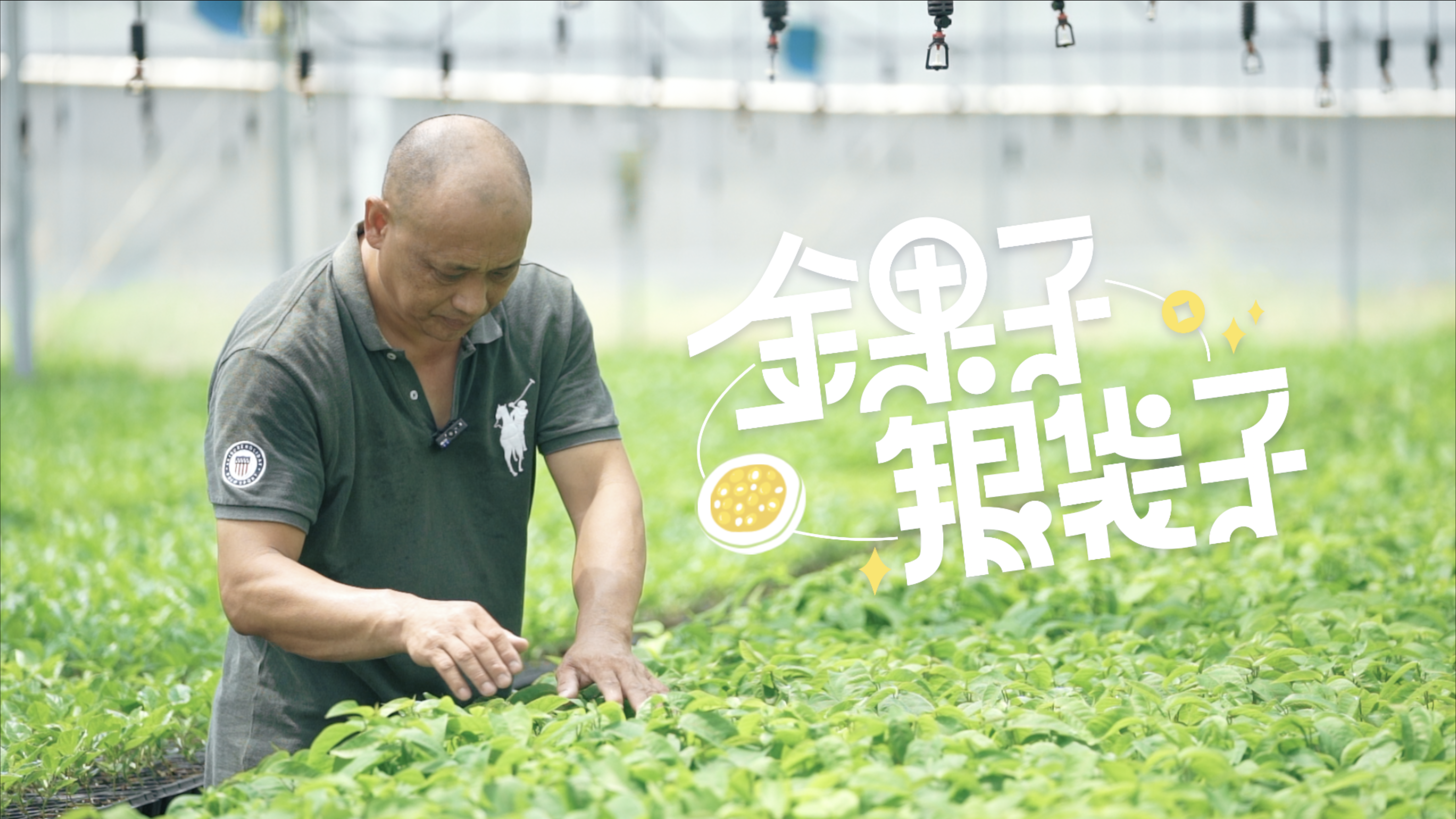 目前最赚钱的种植业