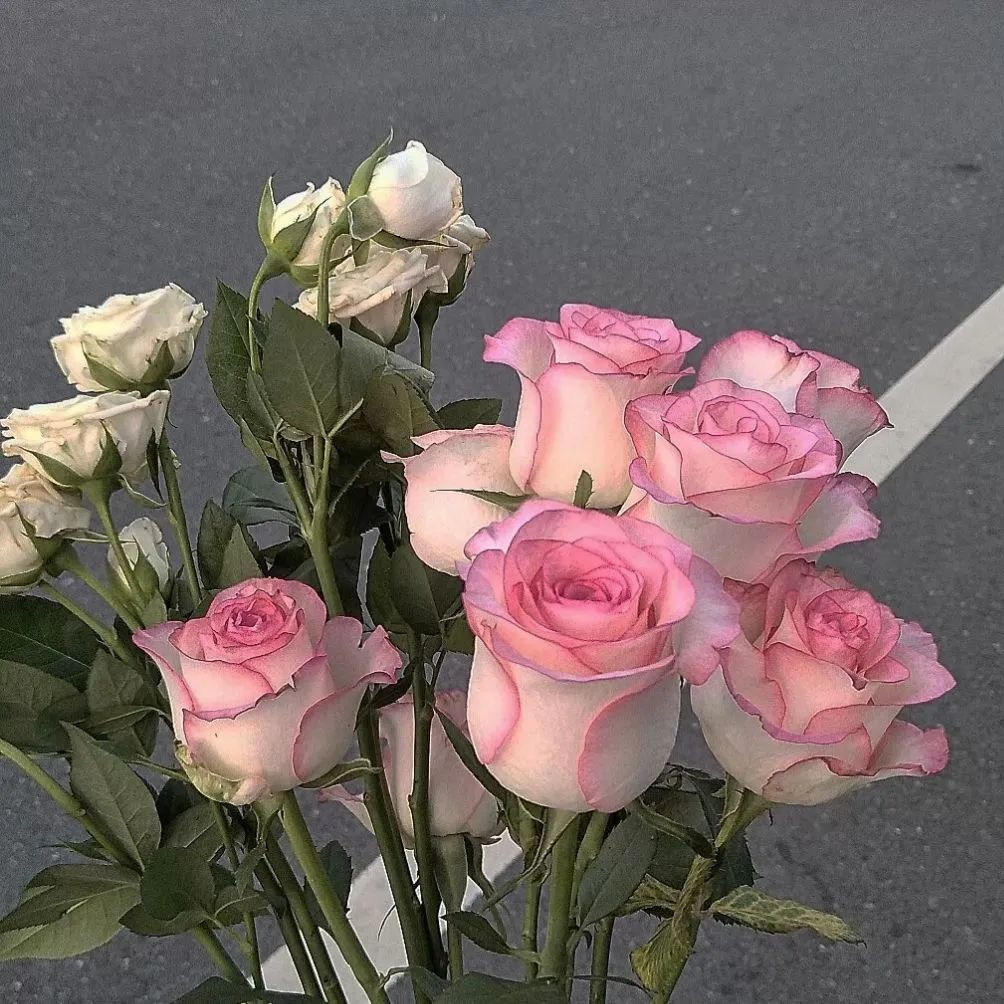 有哪些好看的微信背景图? - 知乎