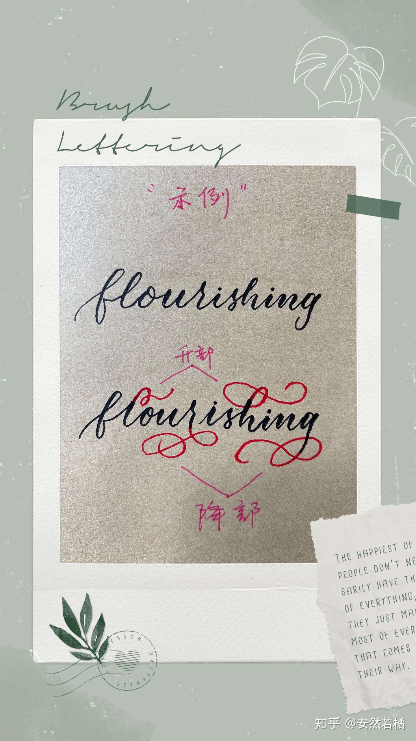 分享自学Brush Lettering 从入门到实践超全超实用干货（含基础字帖） - 知乎