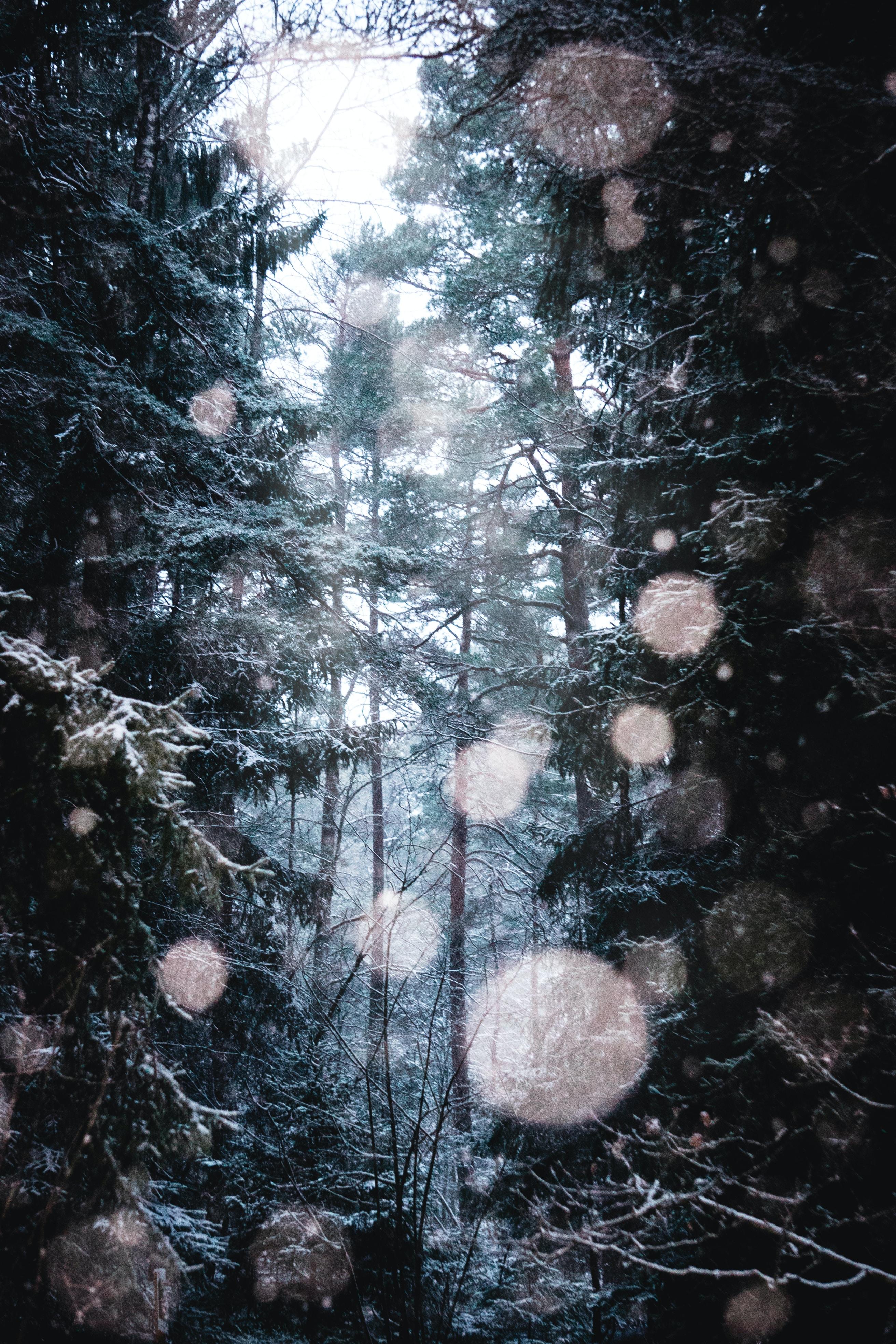 花都风神公社怎么去