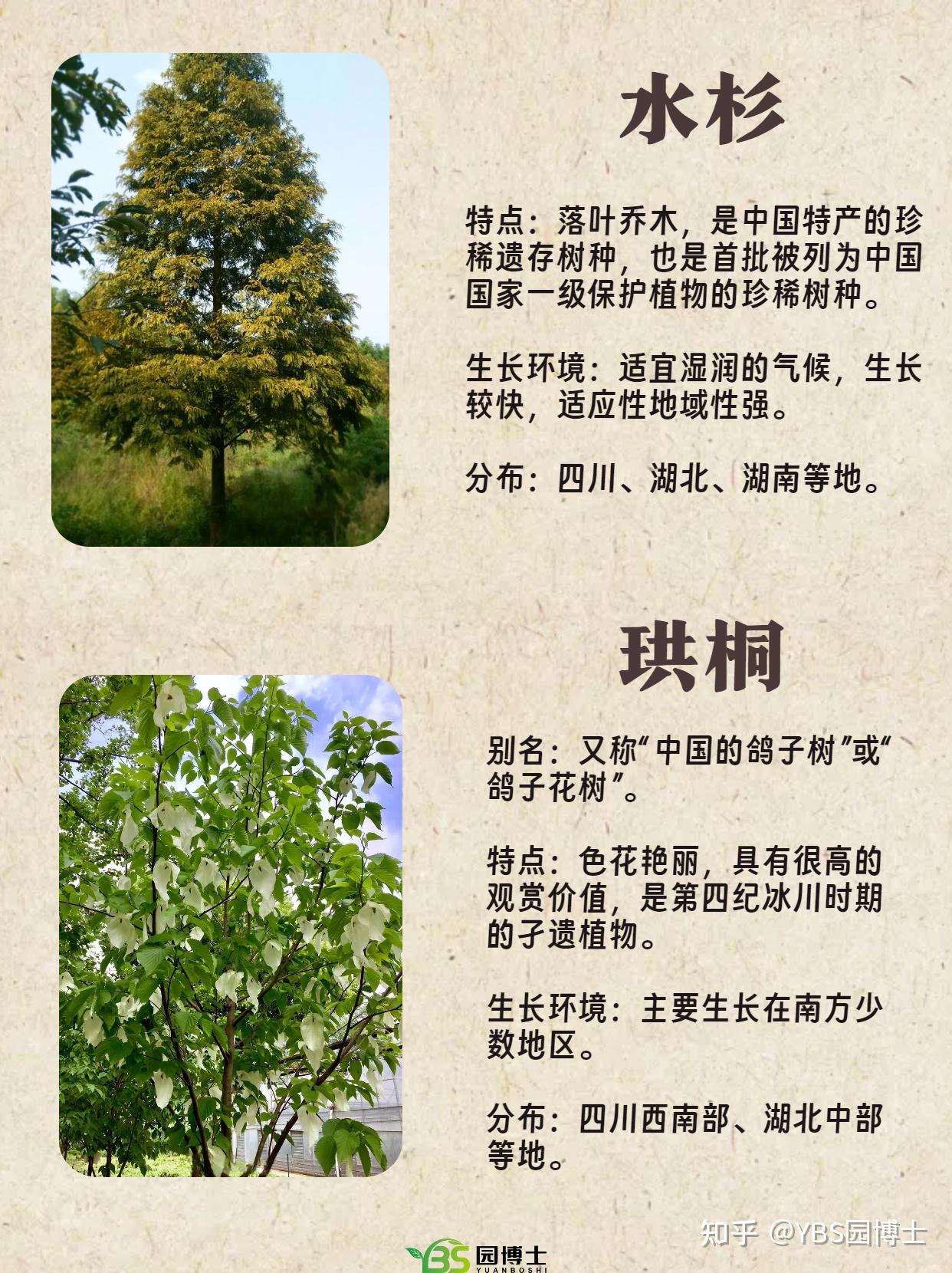 已灭绝的植物名单图片图片