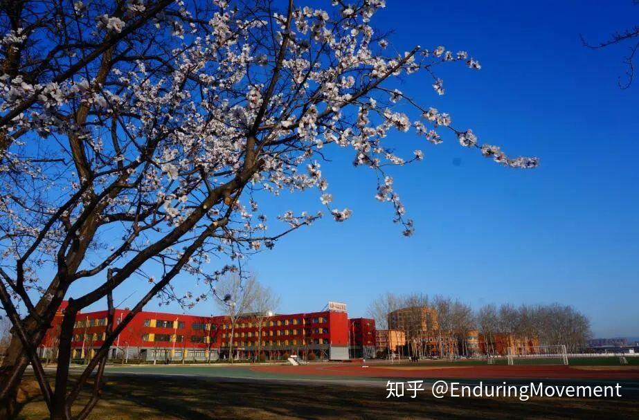 在顺义牛栏山一中实验学校就读是怎样一种体验