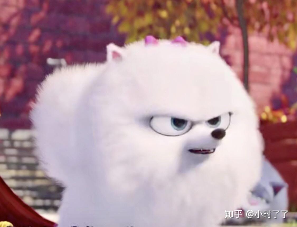 求《爱宠大机密》小白狗啾啾的头像? - 知乎