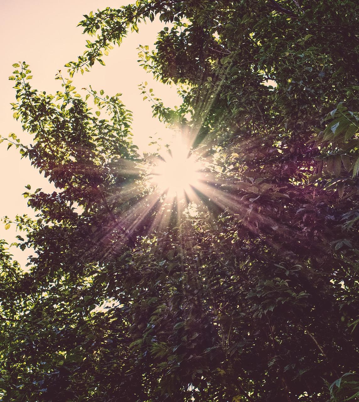 2. 优化采光技巧