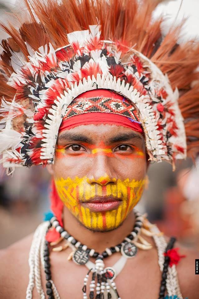 印尼的巴布亚人按照人种划分属于黑种人吗