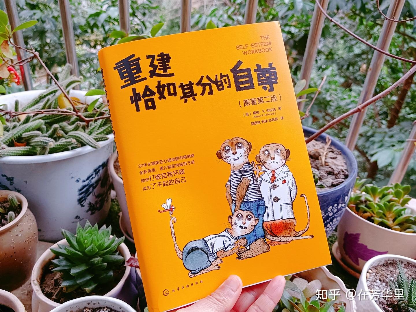 重建恰如其分的自尊：相信的力量﻿ - 知乎