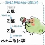 「喝酒前喝酸奶、浓茶能解酒护肝」这种餐桌解酒妙招，是护身符还是心理安慰？