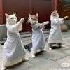 如何评价曹文轩的《根鸟》？ - 知乎