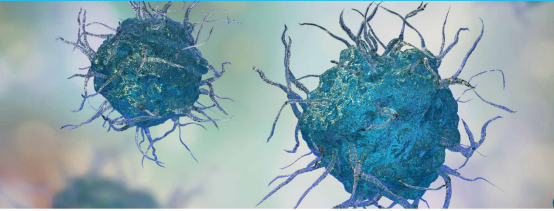 对付癌症看人体内的宪兵nk细胞如何做