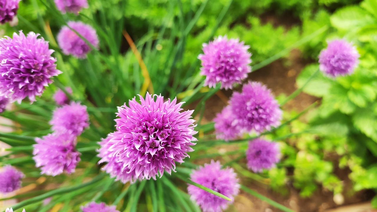 4. 精选建材品质