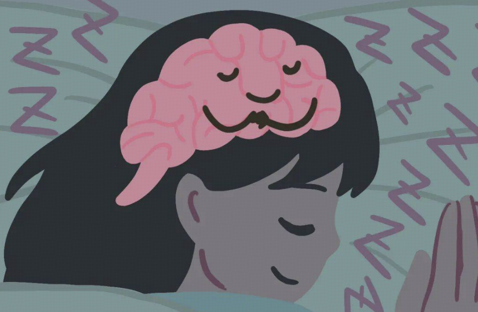 长期「碎片化睡眠」会导致大脑加速衰老，该如何改善睡眠状况？