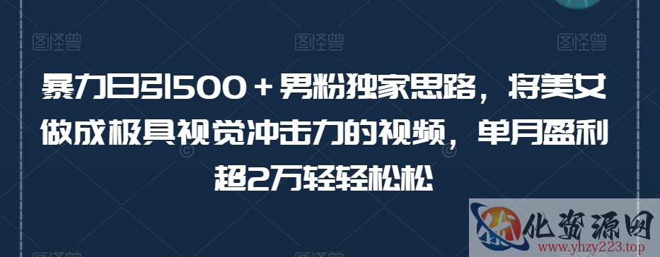 暴力日引500＋男粉独家思路，将美女做成极具视觉冲击力的视频，单月盈利超2万轻轻松松