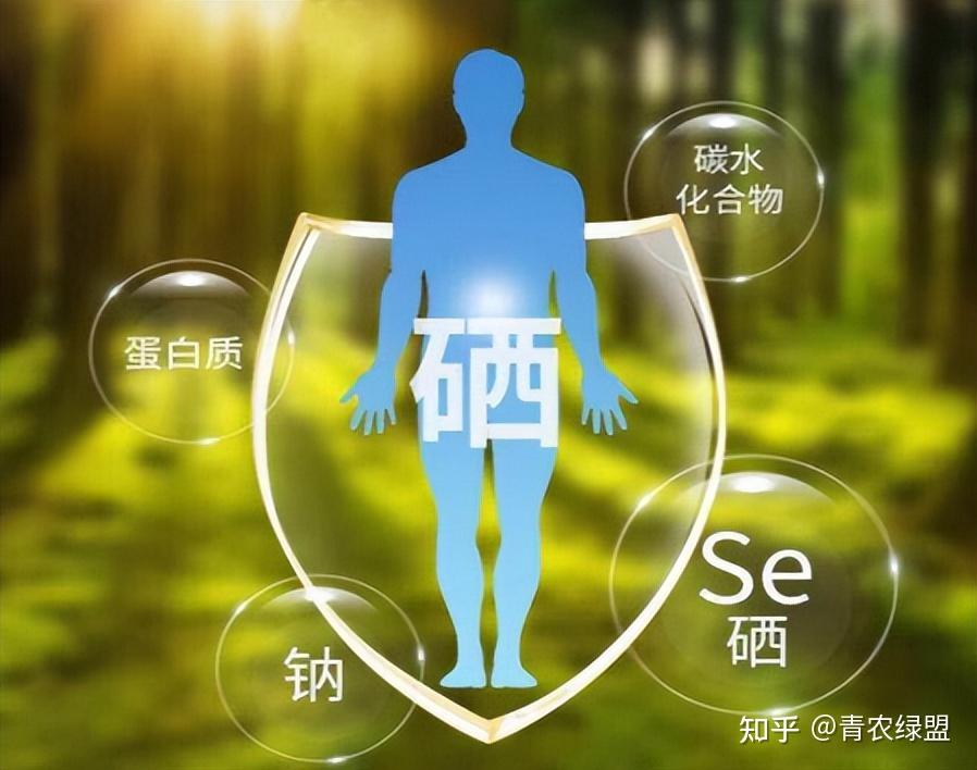 硒需要天天补充吗？会不会产生依赖？科学补硒8个常见问题 - 知乎