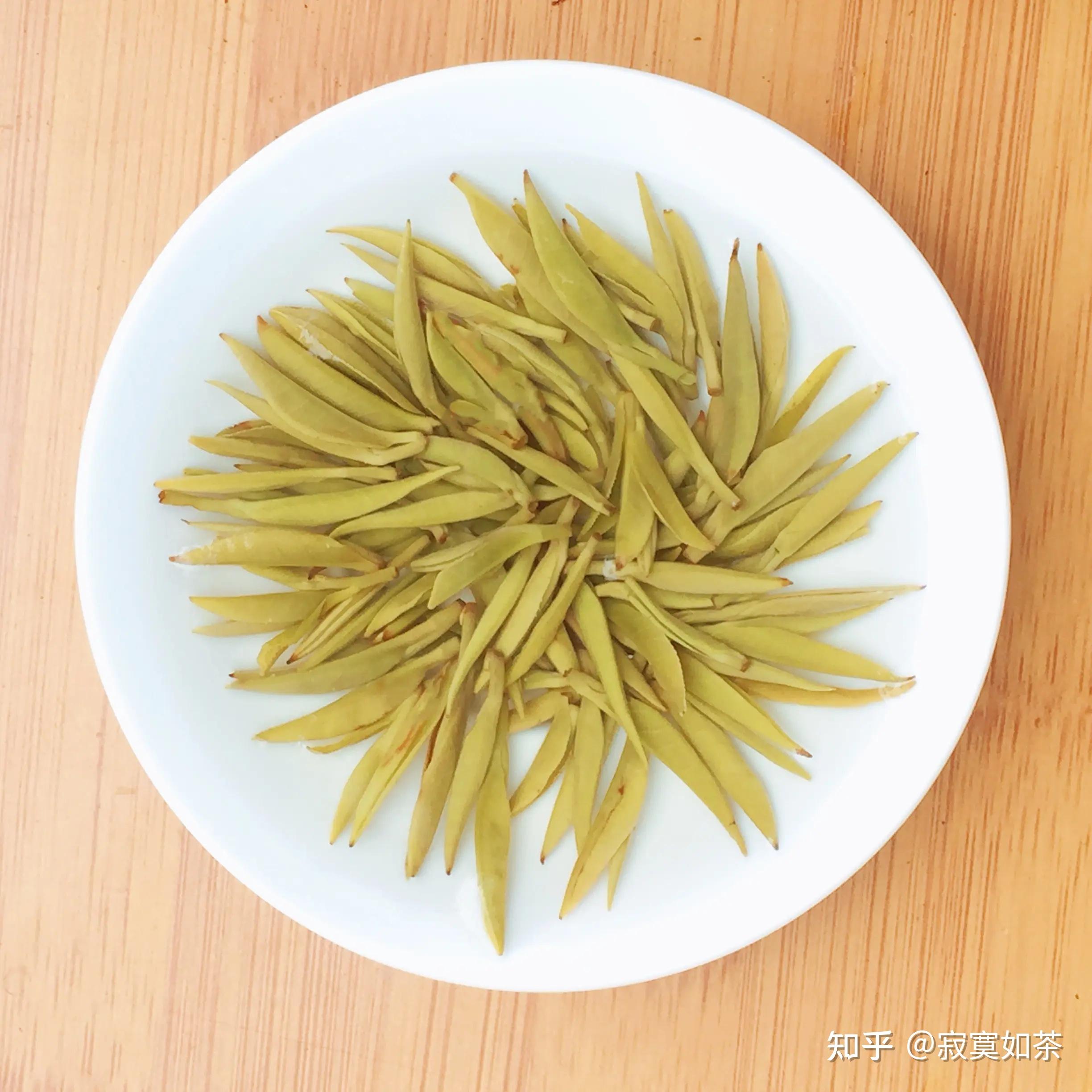 喝黄茶的好处和坏处分别是什么? - 知乎