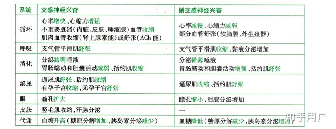 交感神经和副交感神经分泌什么物质对器官物质的作用
