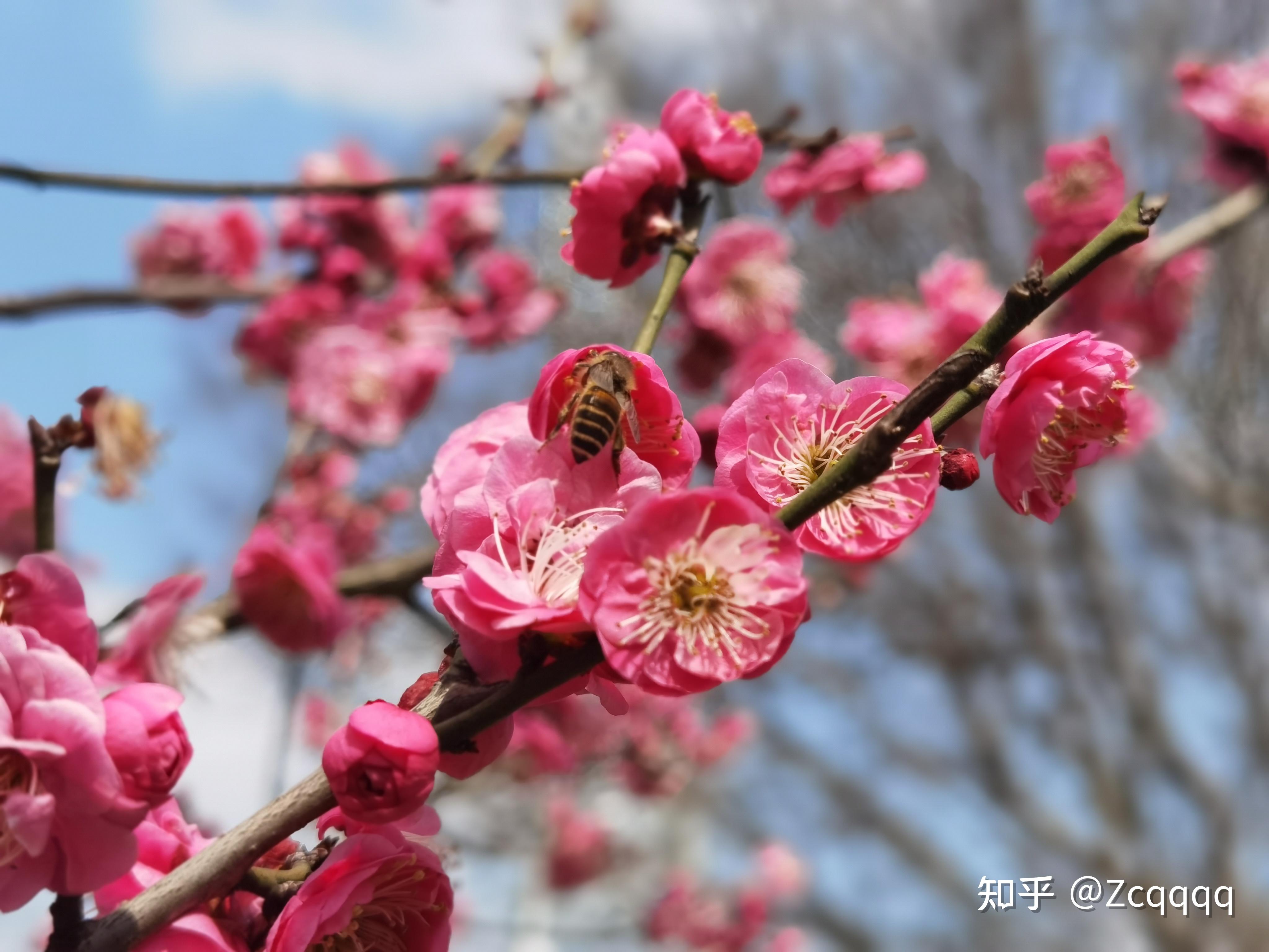 令人惊艳的照片图片