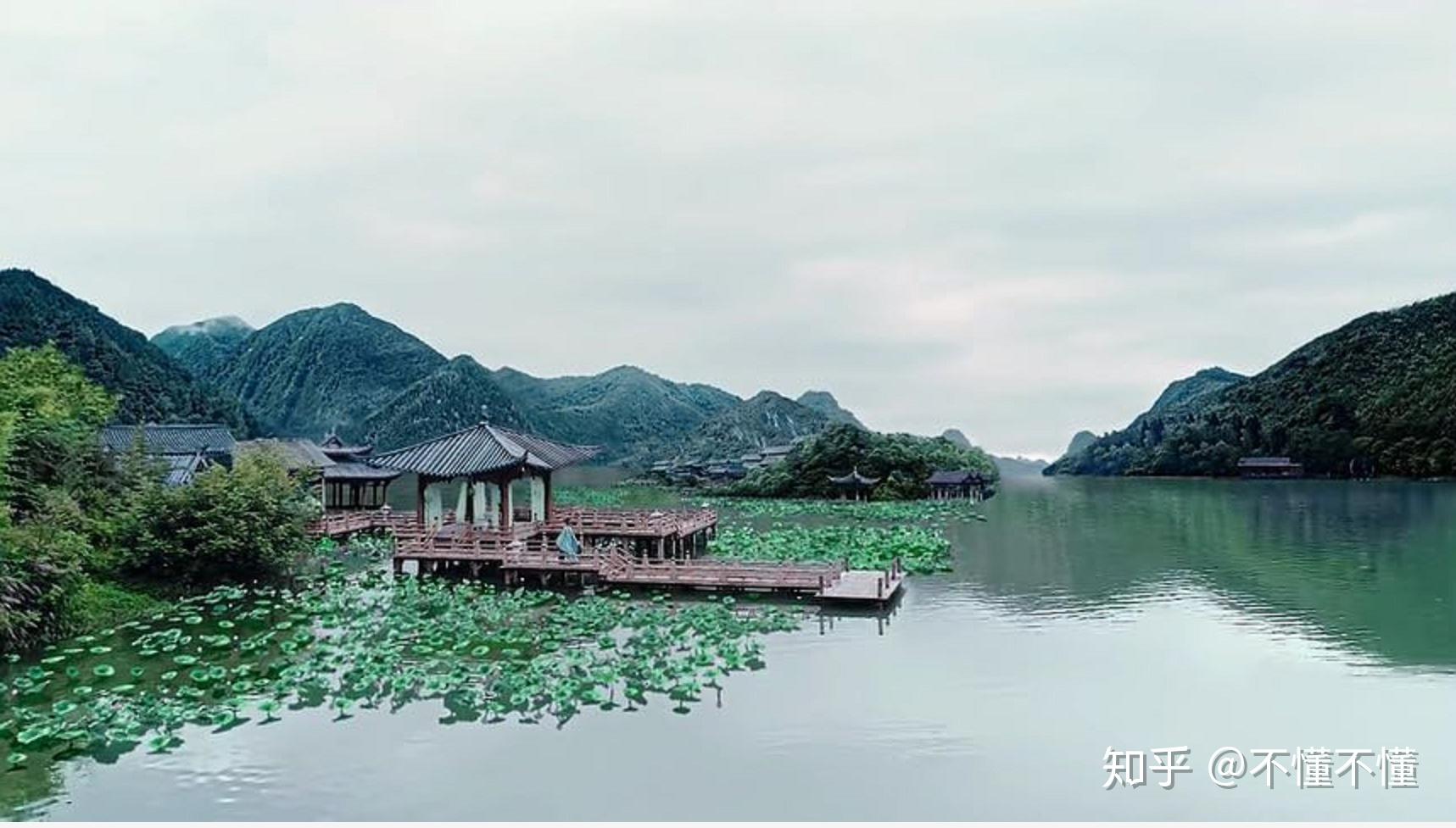 如何评价影视剧陈情令