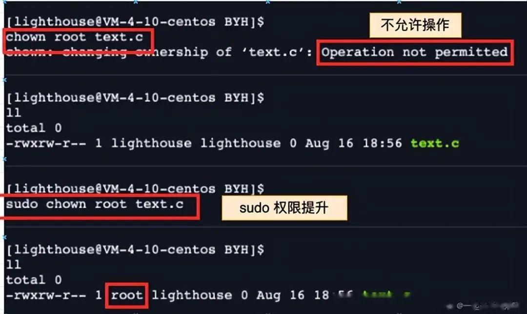 详解shell 运行原理及Linux权限 - 知乎