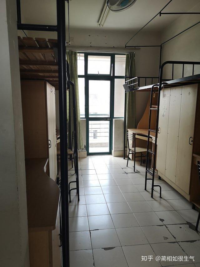 嘉兴学院的校园环境如何