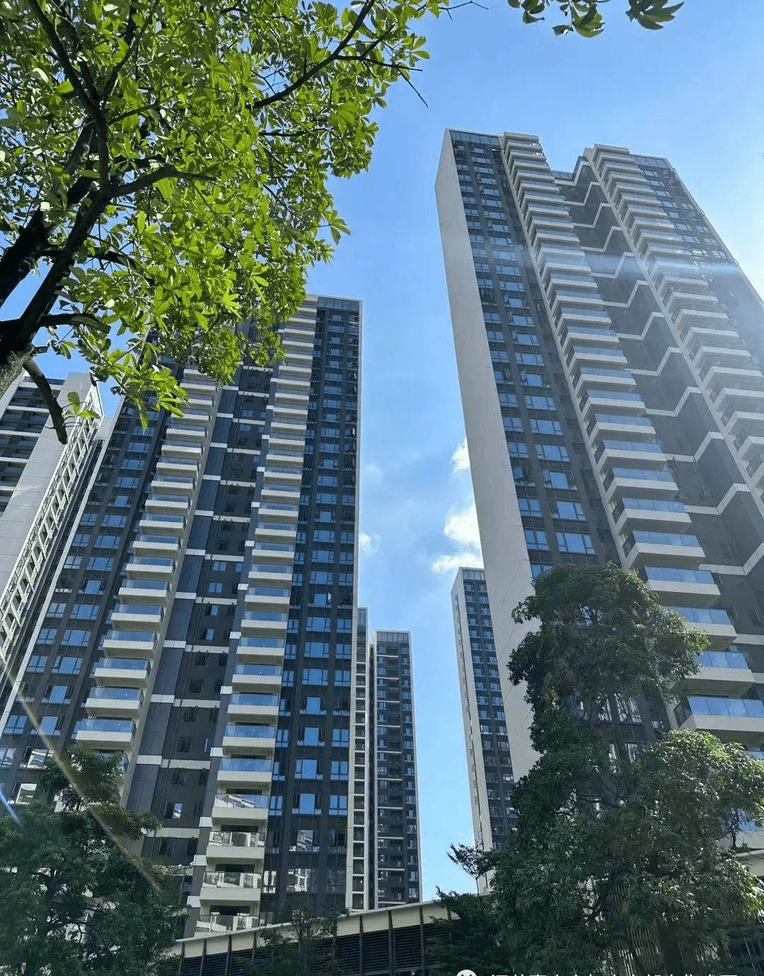 凤岗10栋统建楼花园【阳光半岛】首付5万起带精装交房，通燃气，分期十年 - 知乎