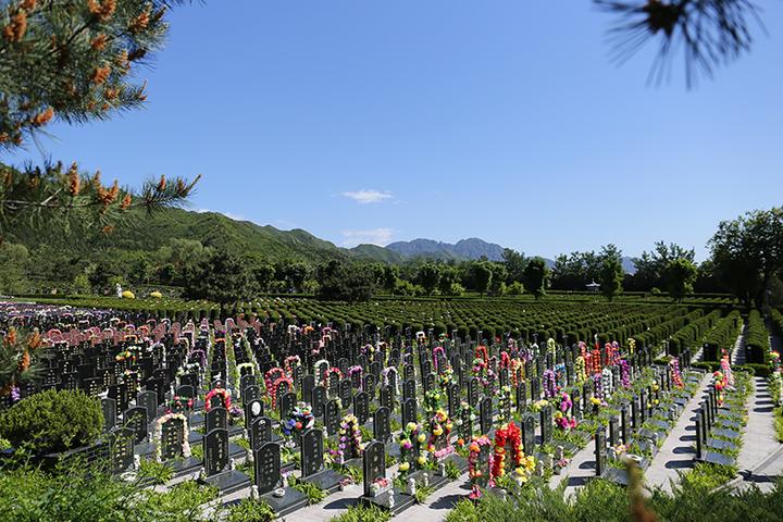 北京昌平区公墓陵园有哪些北京昌平区陵园墓地价格表2023一览表