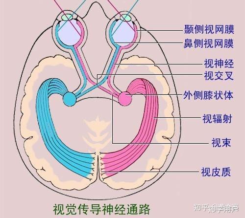 怎么看待肉眼看到的不一定为真?