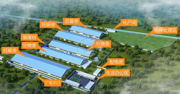 新建猪场应该怎样设计? - 知乎