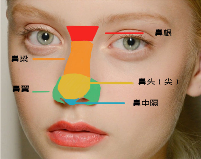 如何学会画人的五官