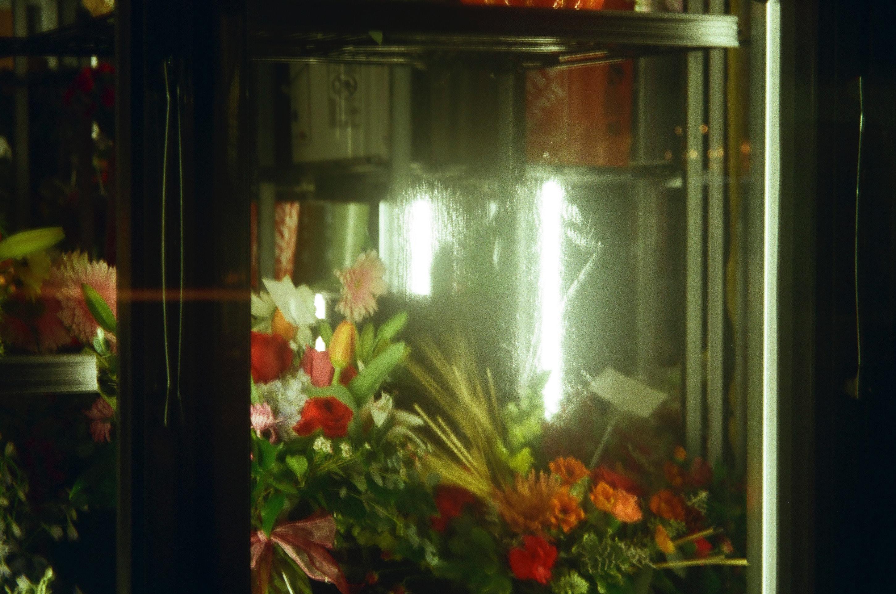 如何清除鱼缸胶