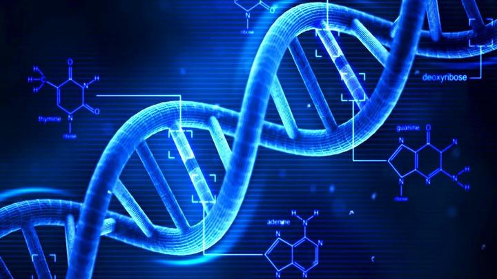 DNA还能被这么玩？纳米世界的建筑者 - 知乎