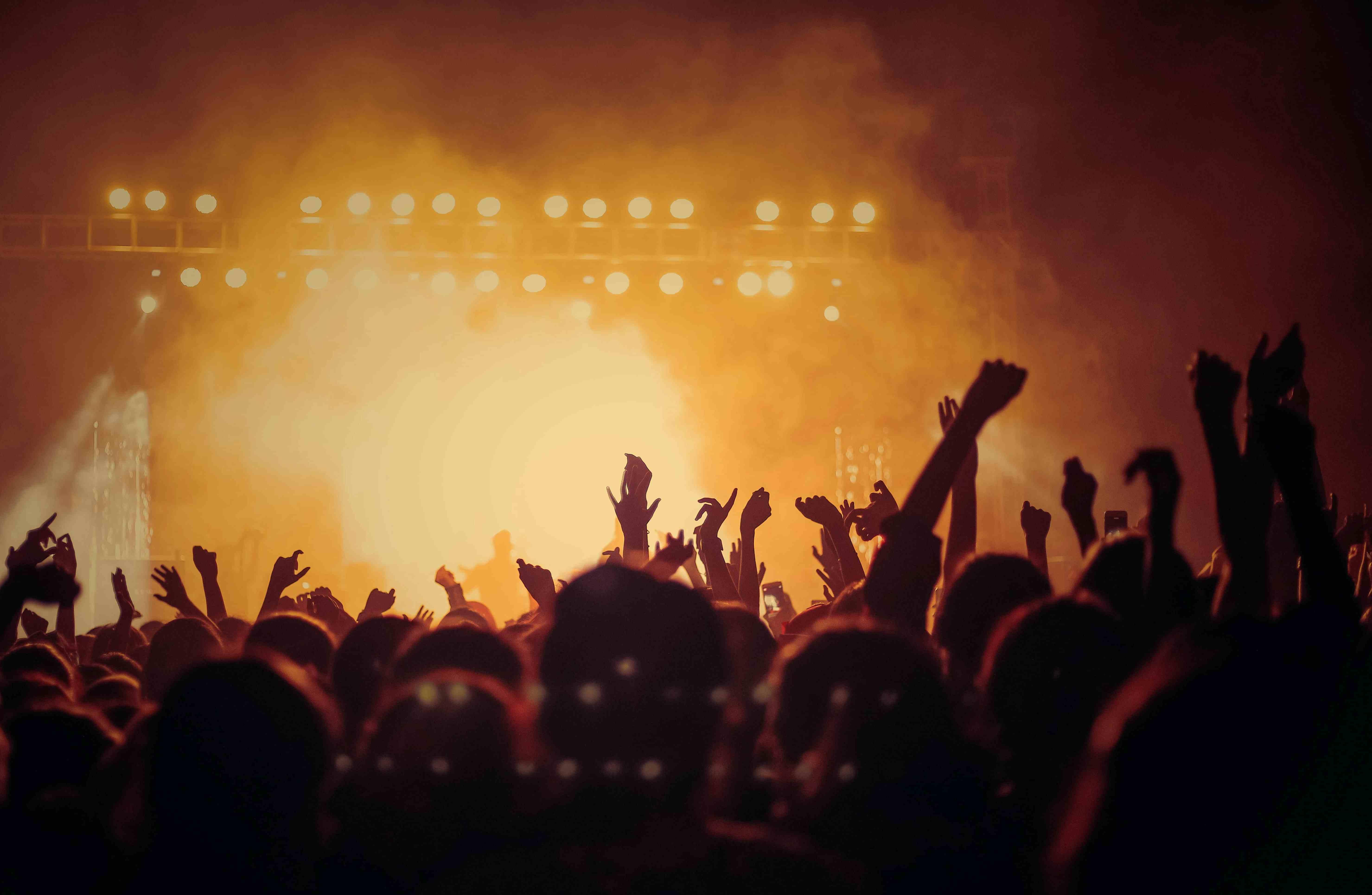 "疯狂小杨哥"会成为下一个"辛巴"吗?