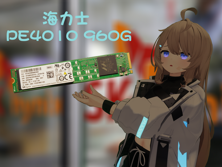  hynix pe4010 960g m 2 22110 