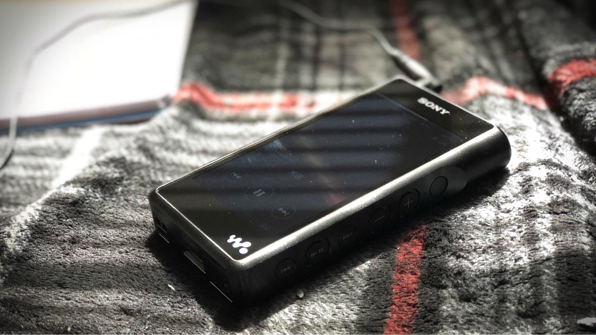 ie800s和榭兰图怎么选