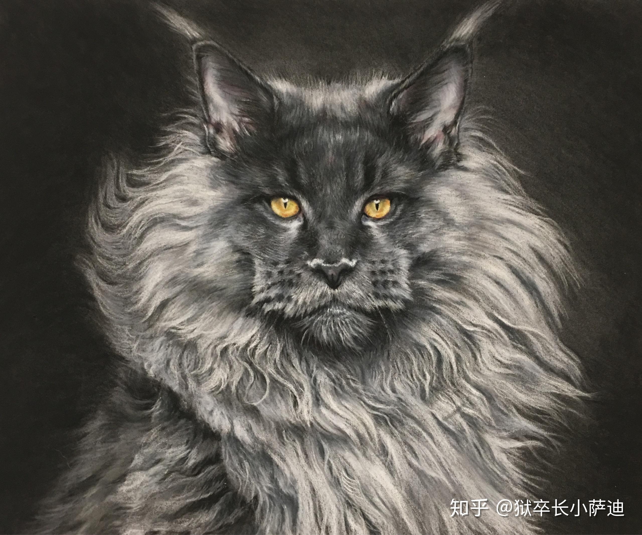 铅笔素描如何画出动物毛发的质感