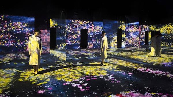 teamLab 的作品很美,却也很让人心碎 - 知乎