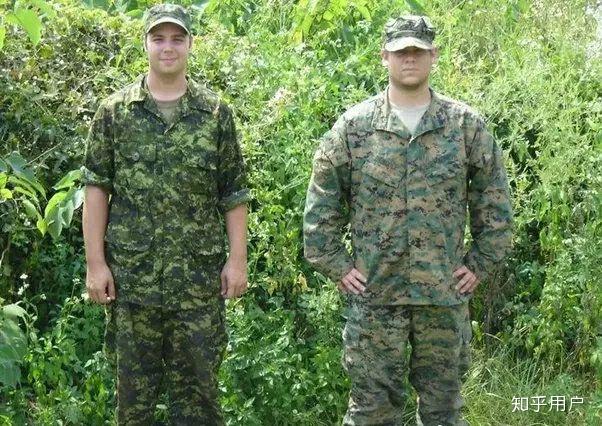 简单评价一下加拿大军迷彩cadpat与当今各国军队的迷彩相比有哪些特点