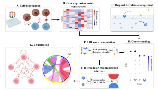 探索肿瘤微环境中的细胞互作 - 知乎
