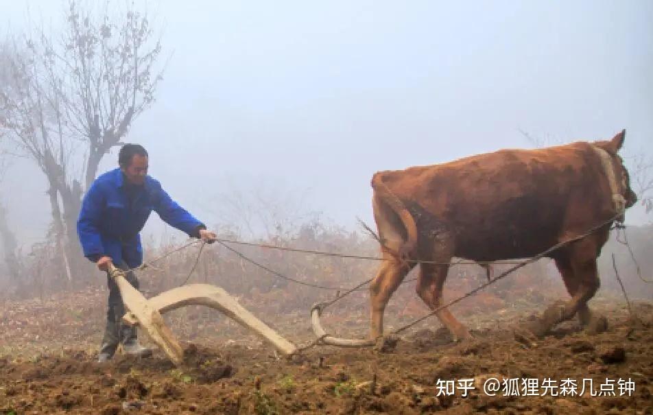 中国古代农业的耕作方式是什么?刀耕火种、精耕细作、集体劳作、个体农耕这些概念之间又是什么关系? - 知乎