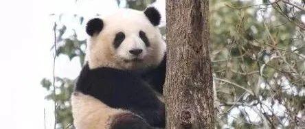 py-try catch - 知乎