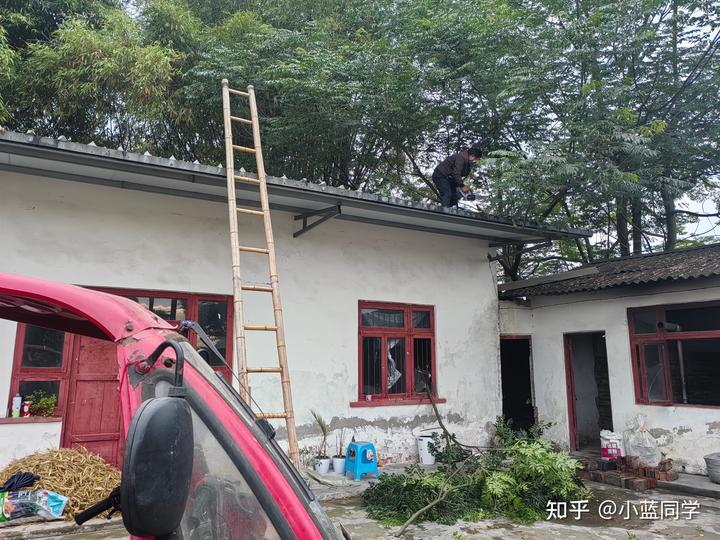 人，可以废物到什么程度？