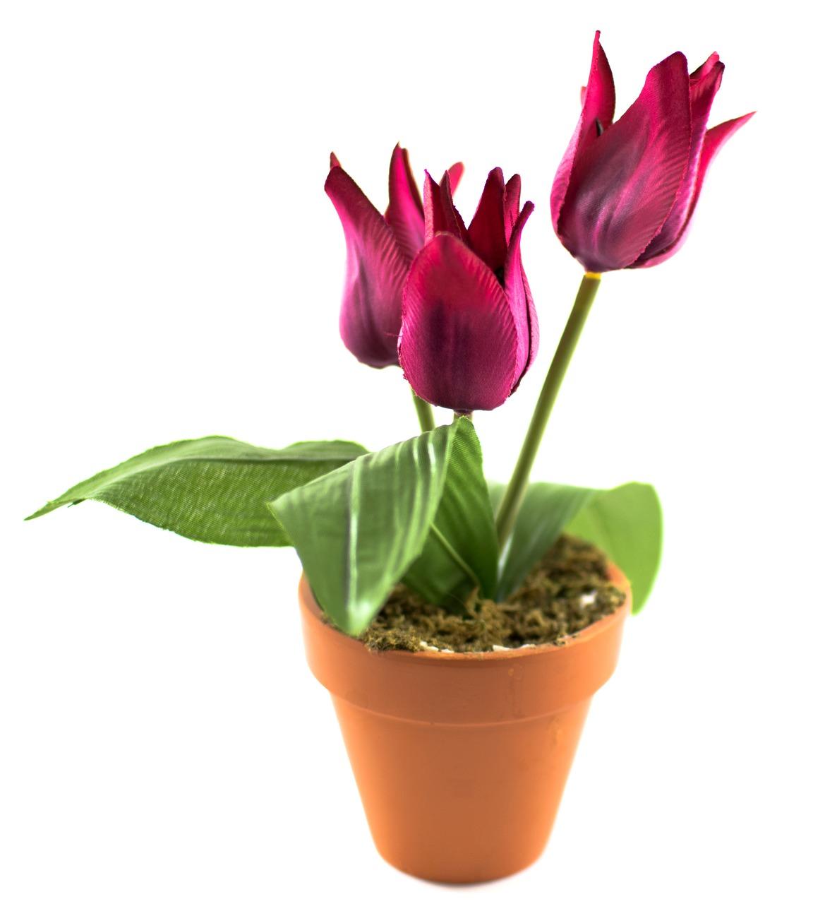 2. 色彩搭配技巧